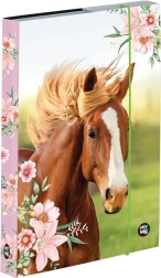 Heftbox A5 mit Pferdemotiv