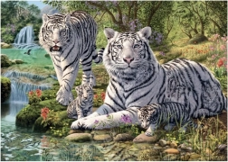 Puzzle Weiße Tiger 1000 Teile – Geheime Kollektion von Dino