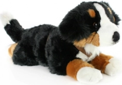 Plüsch Berner Sennenhund 65 cm