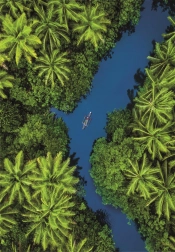 Puzzle mit tropischem Blick aus der Vogelperspektive