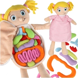 Plüsch-Anatomiepuppe für Kinder Montessori