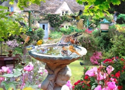 Puzzle Sommerliche Vogelwelt 1000 Teile