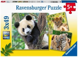 Panda, Tiger und Löwe 3×49 Teile