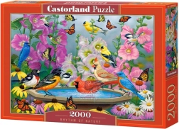 Puzzle Rhythm of Nature mit 2000 Teilen