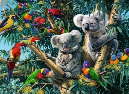 Koalas auf dem Baum 500 Teile