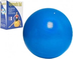 Gymnastikball 65 cm für Training und Rehabilitation