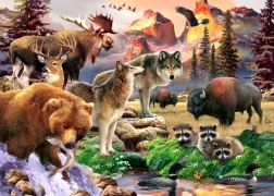 Puzzle Natur 500 Teile