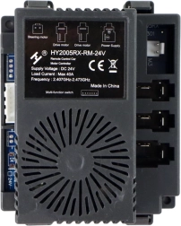 Zentraleinheit mit Fernbedienung 24V