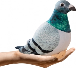 Plüsch-Ringeltaube grau 20 cm