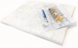 Malen nach Zahlen mit Rahmen 40 × 50 cm – Delfine