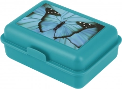 Butterfly Pausenbox