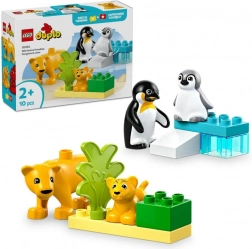 LEGO DUPLO Familien wilder Tiere: Pinguine und Löwen