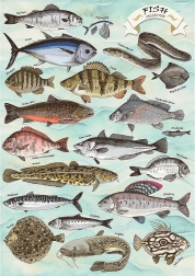 Puzzle TREFL Premium Plus Finders Keepers: Fische 500 Teile