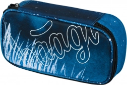 Schuletui BAAGL Skate Steel