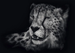 Puzzle Gepardengeschwindigkeit 1000 Teile SCHMIDT