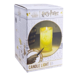 Harry Potter Taschenlampe mit Zauberstab