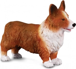 Figur Welsh Corgi von CollectA