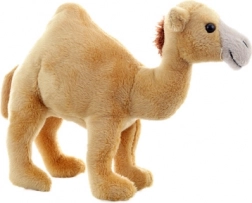 Plüsch-Dromedar 20 cm