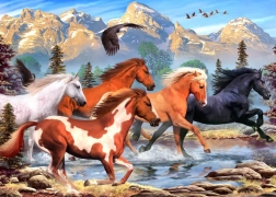 Puzzle ALIPSON Wild und frei 500 Teile