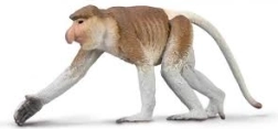 CollectA-Figur eines Sundkuhstirns (Nasenbär)