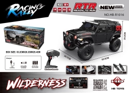 RC Auto WILDERNESS RTR 1:10 schwarz
