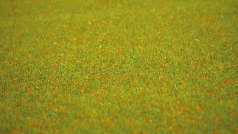 Realistische blühende Wiese auf den ersten Blick