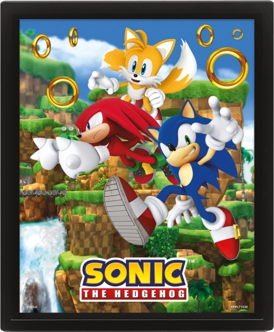 3D Bild SONIC – Catching Rings