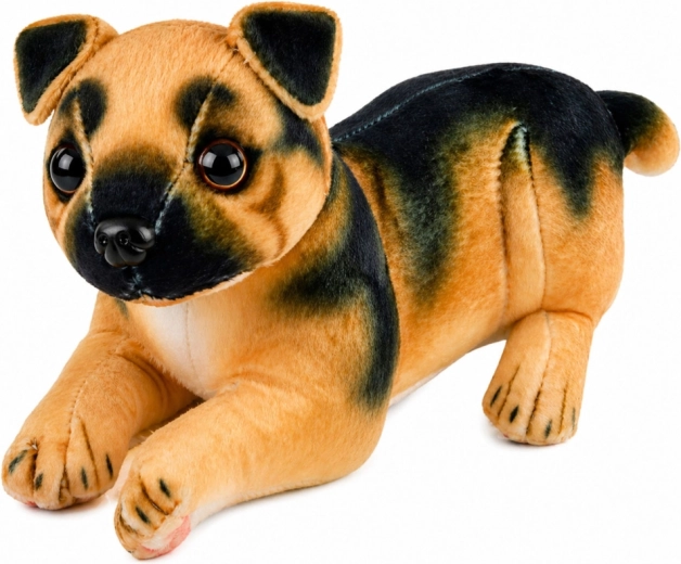 Realistisches Aussehen des Deutschen Schäferhundes