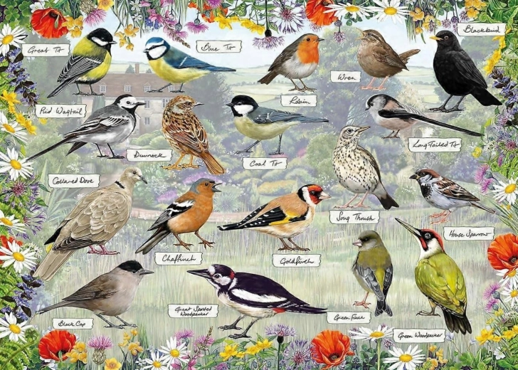 Gibsons Puzzle RSPB: Glückliche Vögel 1000 Teile