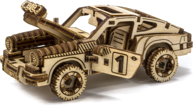 Detailreiches Rallye-Design