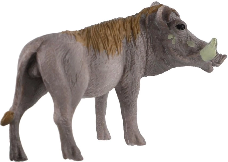 Die afrikanische Tierwelt kennenlernen
