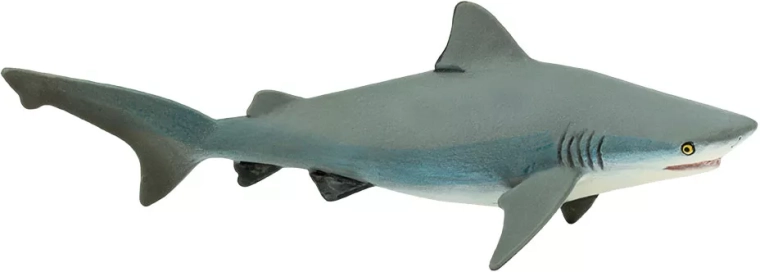Figur des Bullenhais (Bullenhai) Safari Ltd.