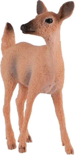 Kompakte Größe