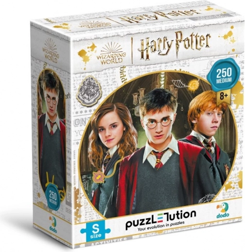 Puzzle DODO Harry Potter: Harry, Ron und Hermine 250 Teile