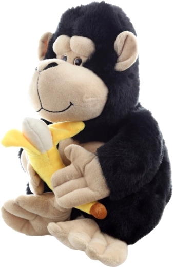 Sichere Ausführung ab 0+