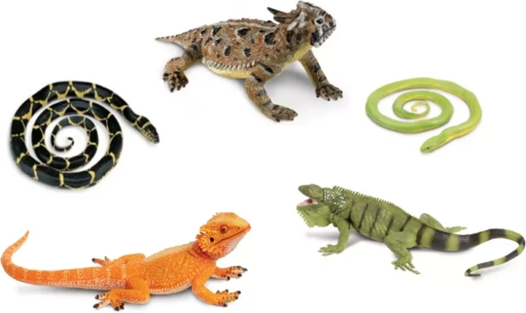 Safari Ltd. Schlangen und Echsen – Set mit 5 Figuren
