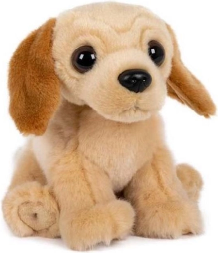 Sitzender Plüsch-Labrador 15 × 17 cm