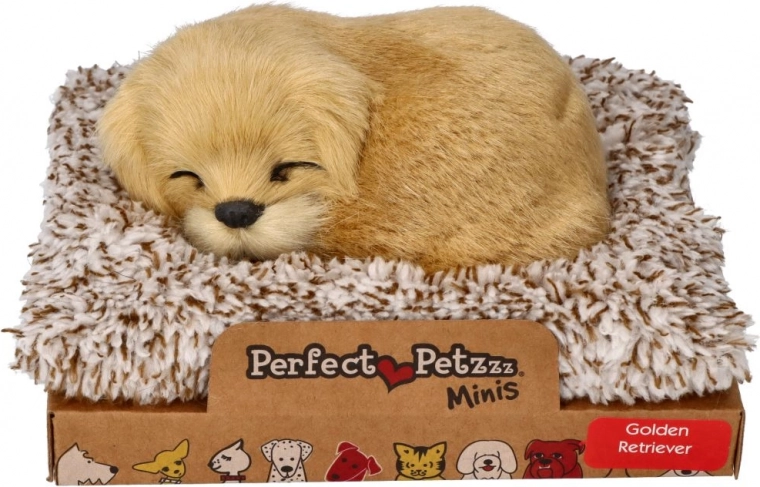 Bellender Golden Retriever auf seinem Körbchen