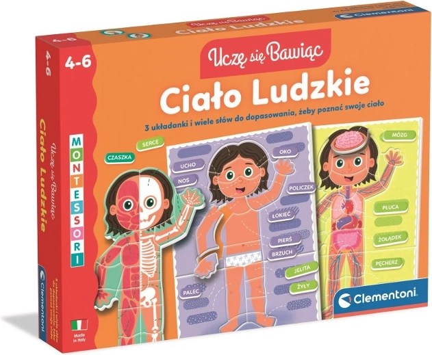 Der menschliche Körper – Lernpuzzle für Kinder von 4–6 Jahren