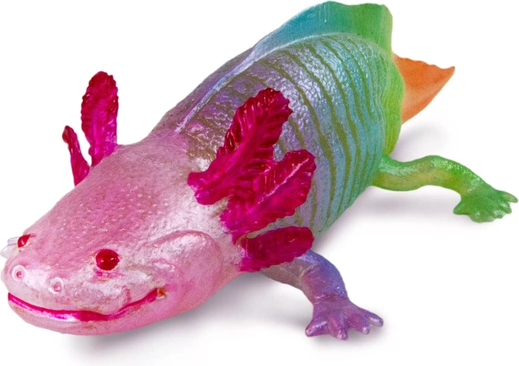 Fantastische Regenbogenfärbung und realistische Details