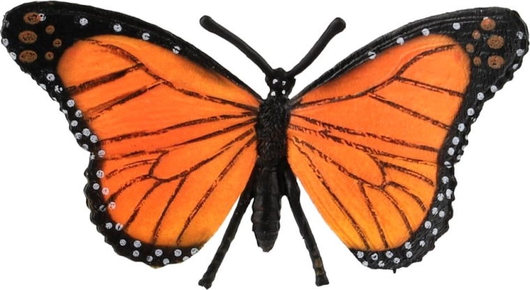 Originalgetreue Farben des Monarchfalters