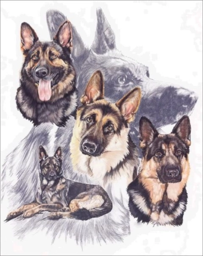 Diamantstickerei (Diamond Painting) – Deutsche Schäferhunde 30 × 40 cm – 1 Stück
