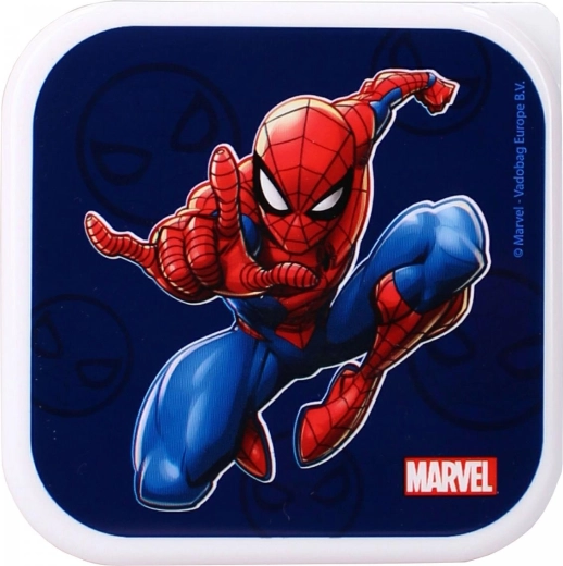 Motiv Marvel Spider-Man