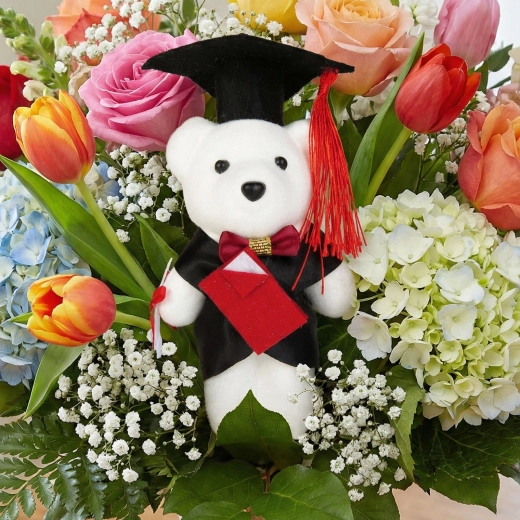 Geschenk – Teddybär für Absolventen, 13 cm