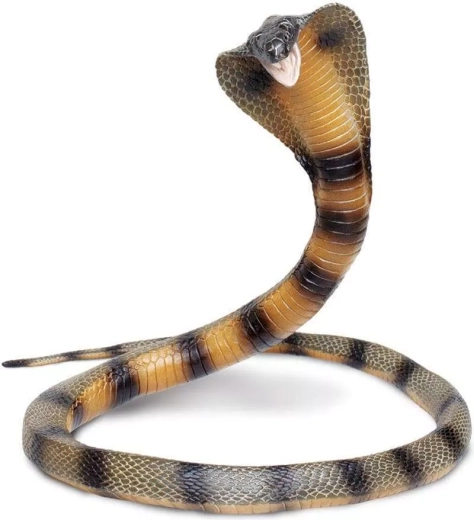 Safari Ltd. Kobra – realistische Schlangenfigur