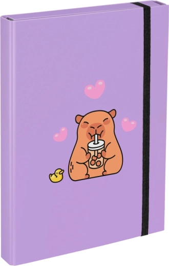 Mappen für Schulhefte A4 mit Capybara-Motiv BAAGL
