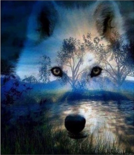 Norimpex Diamantmalerei – Wolfgeist in der Nacht 30 × 40 cm
