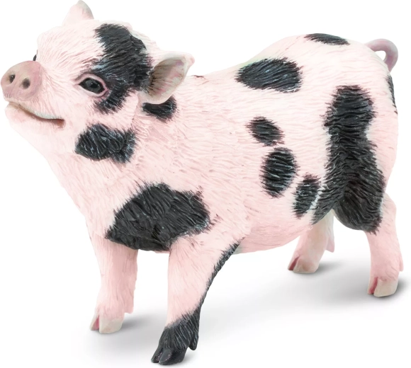 Safari Ltd. Figur vietnamesisches Schweinchen