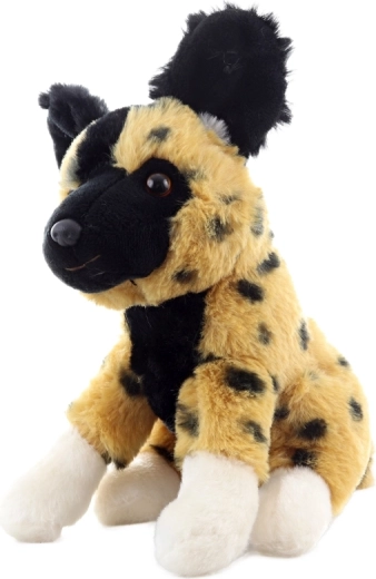 Kompakte Maße für Zuhause und unterwegs