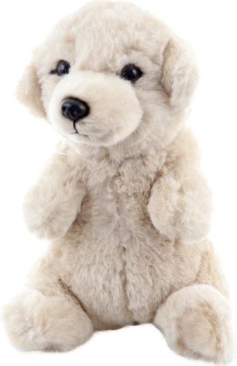 Sicher ab der Geburt